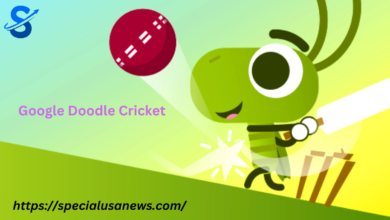 Google Doodle Cricket