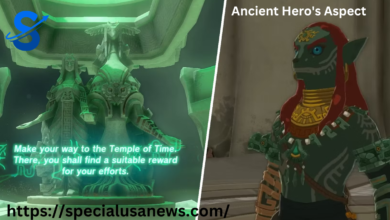 Ancient Hero's Aspect