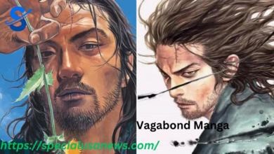 Vagabond Manga