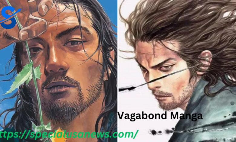 Vagabond Manga